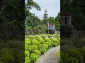 《苗栗。熱門景點》最美波波草花園～超浪漫超好拍《花露農場》百花齊放～推薦😊 2023年5月24日