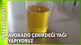 Avokado Çekirdeği Yağı Nasıl Yapılır?