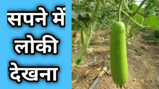 सपने में लौकी देखना, sapne me loki dekhna, Gourd dream meanings