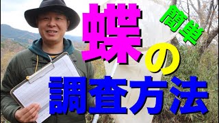 【簡単】ちょうちょの調べ方。ルートセンサス（トランセクト）法について解説！地元のチョウを調べよう！【昆虫すごいぜ！】蝶太郎物語りNo.39