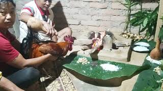 Rai kiratko Kul Pitri Puja।। Chamaling Rai ko Machhama Puja।।