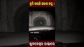 ଭୁବନେଶ୍ୱରରେ ଘାରିଛି ଅଜଣା ଜନ୍ତୁର ଭୟ  ! Horror | Ghost | tvpnews9