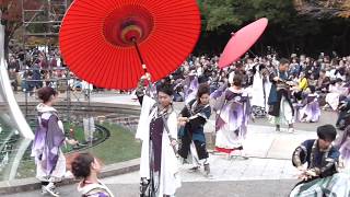 百華夢想2019四日市よさこい祭り やったろ舞（諏訪公園メイン会場）