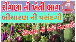 રીંગણી ની ખેતી | ભાગ-૧ | bringal farming | part 1