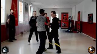 Teaser Dragos Wing Tsun Seminar