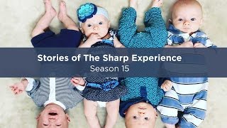 Stories of The Sharp Experience, Season 15