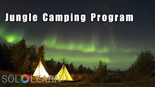 Jungle-camping solved on sololearn