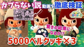 【ポケ森】カブらない説の検証！5000ベルクッキー来たので検証しながら食べてみました【どうぶつの森ポケットキャンプ】 無課金