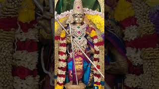 🙏🙏 தீராத நோய் தீர்க்கும் திருச்செந்தூர் பன்னீர் இலை பிரசாதம் 🙏🙏#shortsvideo #thiruchendurmurugan #