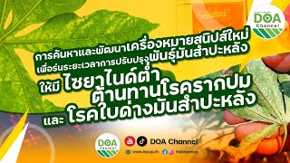 การค้นหาและพัฒนาเครื่องหมายสนิปส์ใหม่เพื่อร่นระยะเวลาการปรับปรุงพันธุ์มันสำปะหลัง