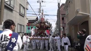 2016兵庫県神戸市灘区（河内國魂神社）上野、入魂式⑳お披露目曳行（平成28年3月27日）