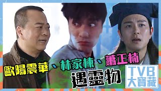 TVB大寶藏｜歐陽震華｜林家棟｜蕭正楠｜遇靈異物件｜何廣沛｜異搜店