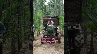 24 years old HMT tractor taking the arecanut  load of 3tons in critical road#hmttractor #arecanut