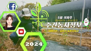 [ 주간농사정보 ] 5월 3째주 (2024. 05. 13. ~ 05. 19.)