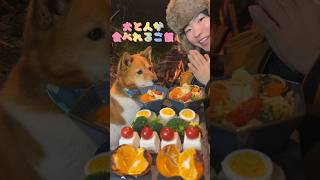 福とタケが食べるの見ててpart38 #asmr #mukbang #モッパン #犬 #dog