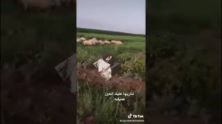 ربابه أثاريها عليك العين عميانه