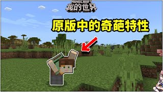 Minecraft冷知识：身体错位？盘点我的世界原版中奇葩特性！【无声酱鸭鸭】