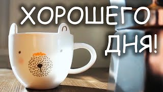 Хорошего дня! Отличного настроения!