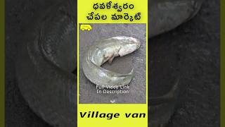 Dhavaleswaram Fish Market