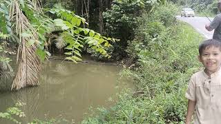 Tak di sangka  genangan air hujan di pinggir jalan ternyata banyak ikan. #nila#wader