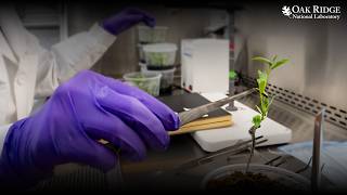 Early Breakthrough for AI-Enabled Biological Discovery