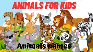 animals for kids/ animals/ janwaron k nam/ chinto tv