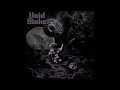 VOID SINKER - Debris [FULL ALBUM] 2024