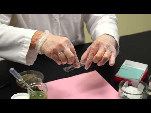 Is a wet mount time consuming to prepare?