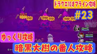 【ドラクエ10オフライン攻略#23】暗黒大樹の葉を取りに呪われた大地へ【王都カミハルムイ編】