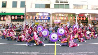 【4K】躍動｜ 百花不撓（踊れ西八夏祭り2023 駅前会場 第一部）