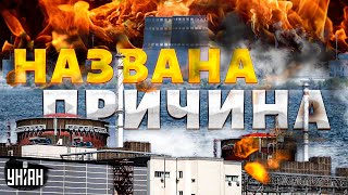 ⚡Пожар на Запорожской АЭС! Видео взорвало интернет. Названа причина: есть ли опасность