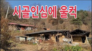 외지인에게 점심을 내어주는 고향같은 마을/이런곳에 귀촌 하세요/단양 배마루마을/오지마을/오지여행