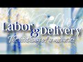 Labor & Delivery: The Birthing of a Miracle -Pam Baker