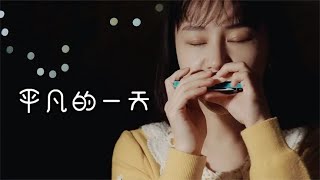 Mao Buyi - Perfect Day (Harmonica Cover)