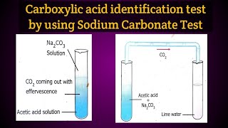 To identify Carboxylic acids by using Sodium Carbonate Test