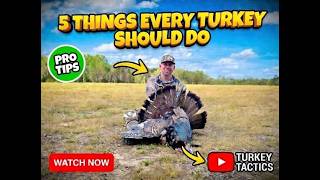 🔥5 Things to Do Before Turkey Season | Don’t Make These Rookie Mistakes!🔥