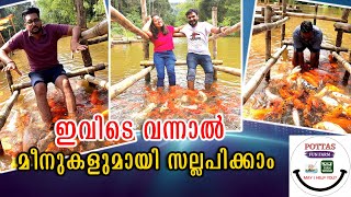 കുട്ടികളുമായി ഒരു യാത്ര ഇങ്ങോട്ട് ആയാലോ 😍 #travel #pottas #viralvideo