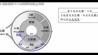 高中生物_必修生物_細胞週期【莫斯利高中自然科教學網】