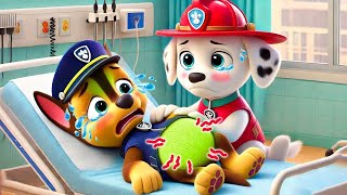 PAW Patrol Mighty Pups Ultimate Rescue New Episode Cartoon for Kids #cartoon #chase #nickjr