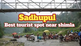 sadhupul himachal | sadhupul | sadhupul solan | sadhupul chail | himachal tour | shimla tour | hindi