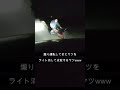 煽り運転してきた奴をライトを消して成敗してみた　 shorts buzz やってみた 煽り運転