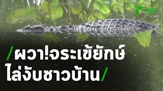 ผวา! จระเข้ยักษ์ไล่งับชาวบ้าน | 22-01-64 | ห้องข่าวหัวเขียว