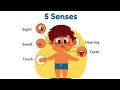 The Five Senses Adventure |HEARING,TOUCH, SIGHT, SMELL, TASTE IN EASY WORDING!