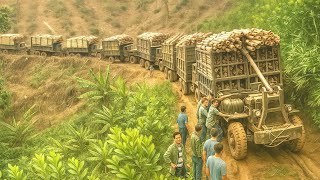 Nhưng Cung Đường Lầy Lội Là Nơi Hội Tụ Những Tài Xế Đẳng Cấp Nhất #xe #automobile #farming