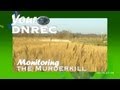 Monitoring the Murderkill