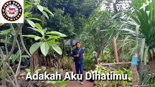 John Naro Situmeang - Adakah Aku Dihatimu (Official Music Video)