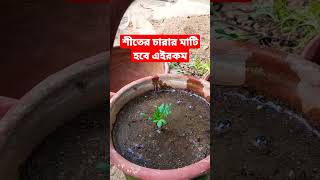 মাটি ঝুরঝুরে হলে জল দাড়াবেনা,বালি মেশান মাটি হালকা করার জন্য,সব গাছ এতে খুব ভালো হবে।