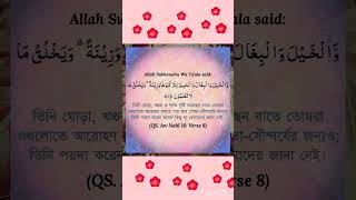 Surah An-Nahl 16 Verse-8 Quran Meaning in Bengali 💕 #religion #islamicvideo #islam