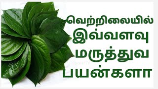 வெற்றிலையில் இவ்வளவு  மருத்துவ  பயன்களா |Health Tips Tamil | Speak tv