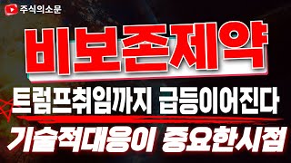 [비보존제약 주가전망] 1월20일 트럼프취임 주목하세요